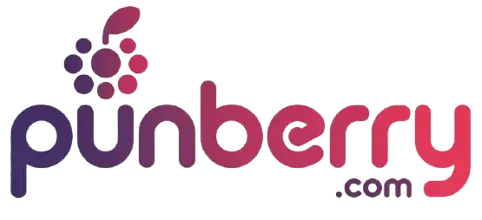 punberry.com